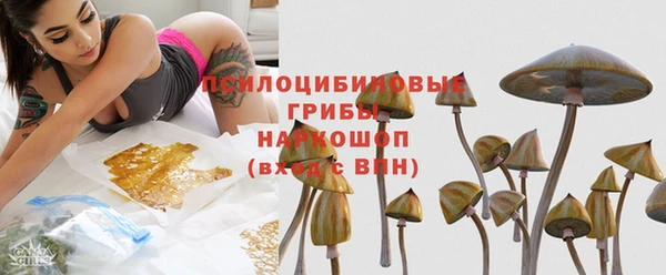 сатива Надым