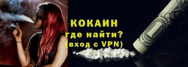сатива Надым