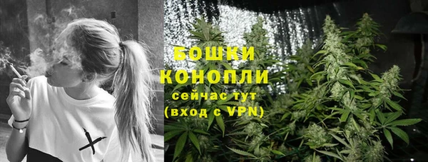 сатива Надым
