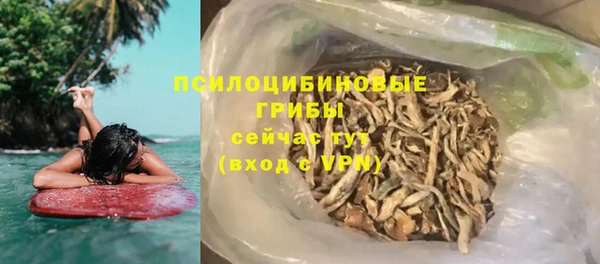 сатива Надым