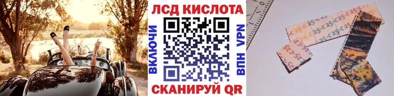 как найти наркотики  Суоярви  дарк нет Telegram  Марки N-bome 1,5мг 